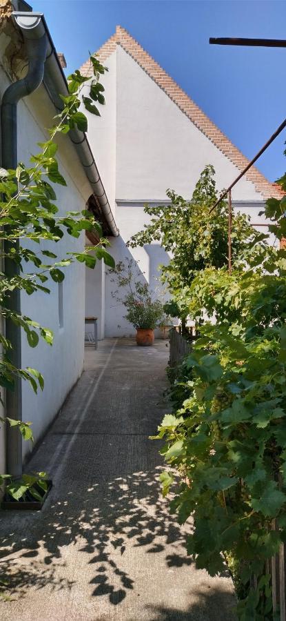 Anna'S Cosy Apartment Illmitz Exterior foto